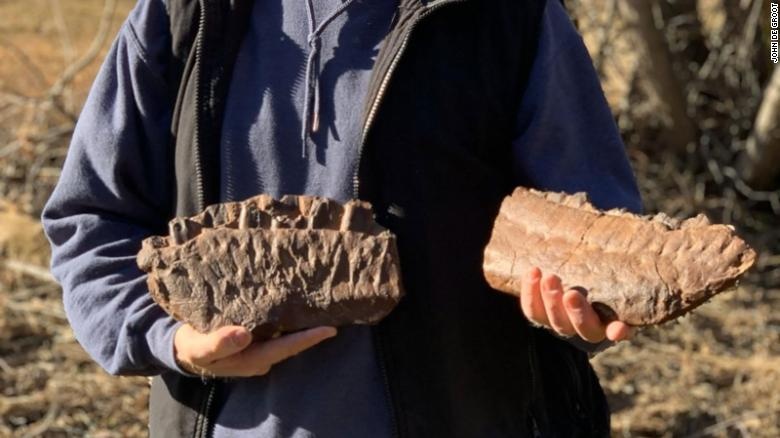 hoa thach Khung long bao chua,  chi khung long bao chua,  co sinh vat hoc anh 1