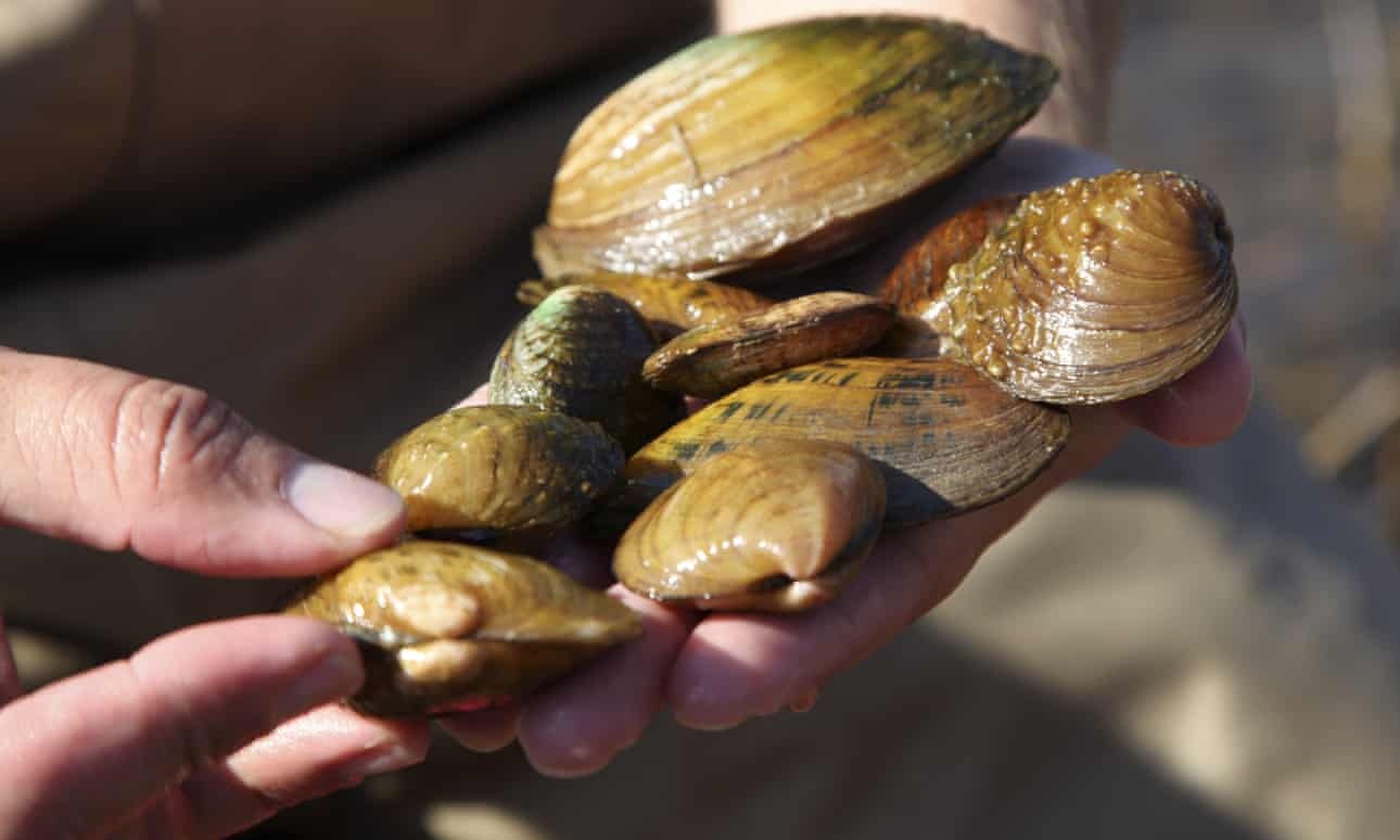 bien doi khi hau,  trai dat bo,  sinh thai bien,  ran san ho anh 1