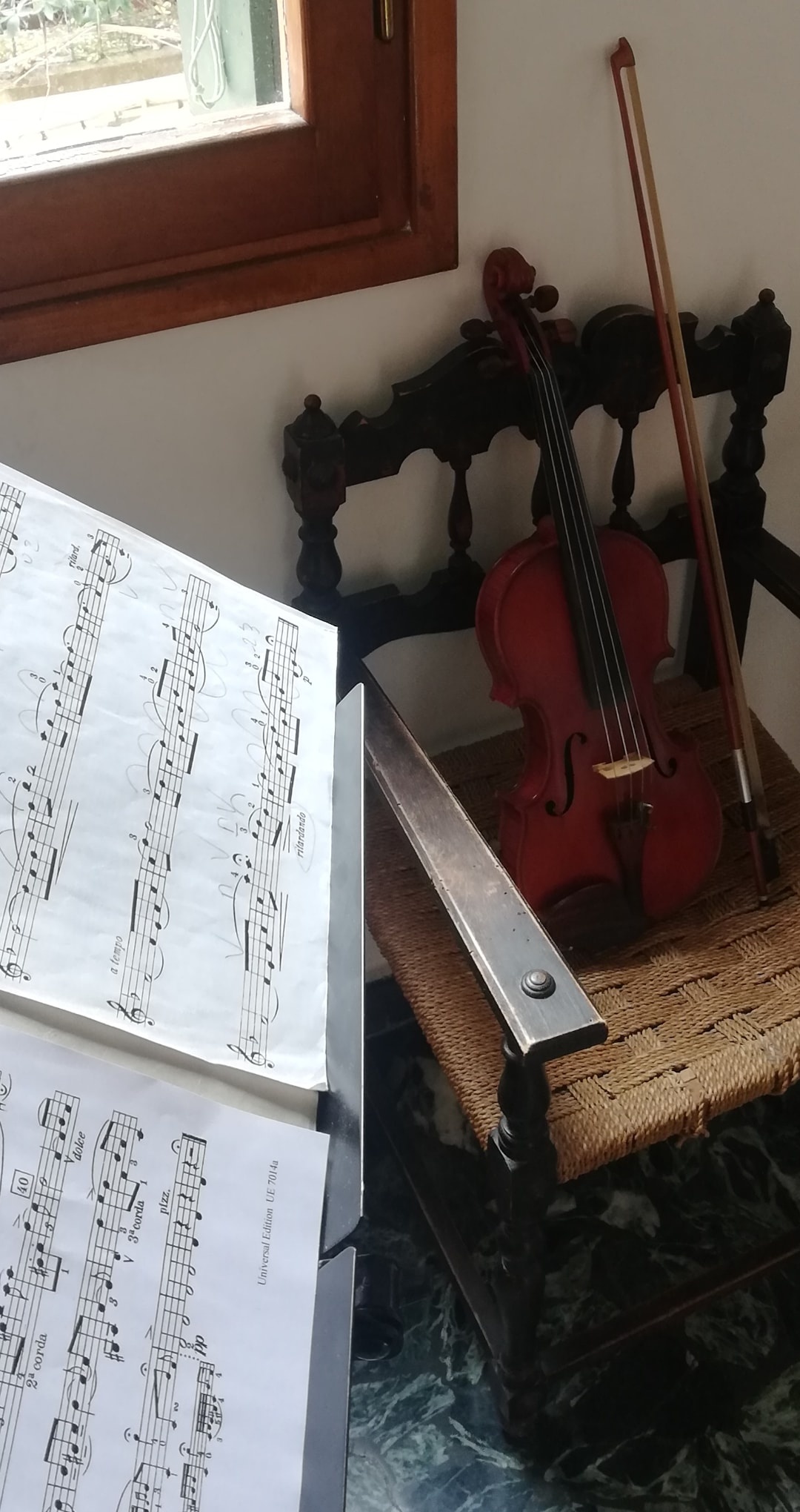 virus tai Y,  virus corona,  dich viem phoi,  nguoi Y anh 2