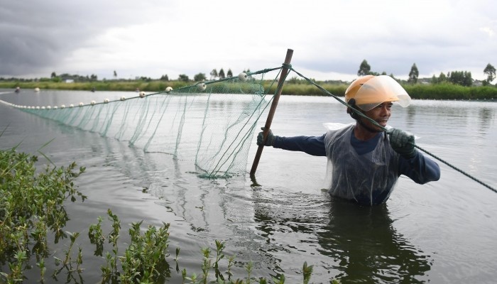 Xuat hien virus bi an o TQ, mot con tom nhiem benh huy diet ca dan hinh anh