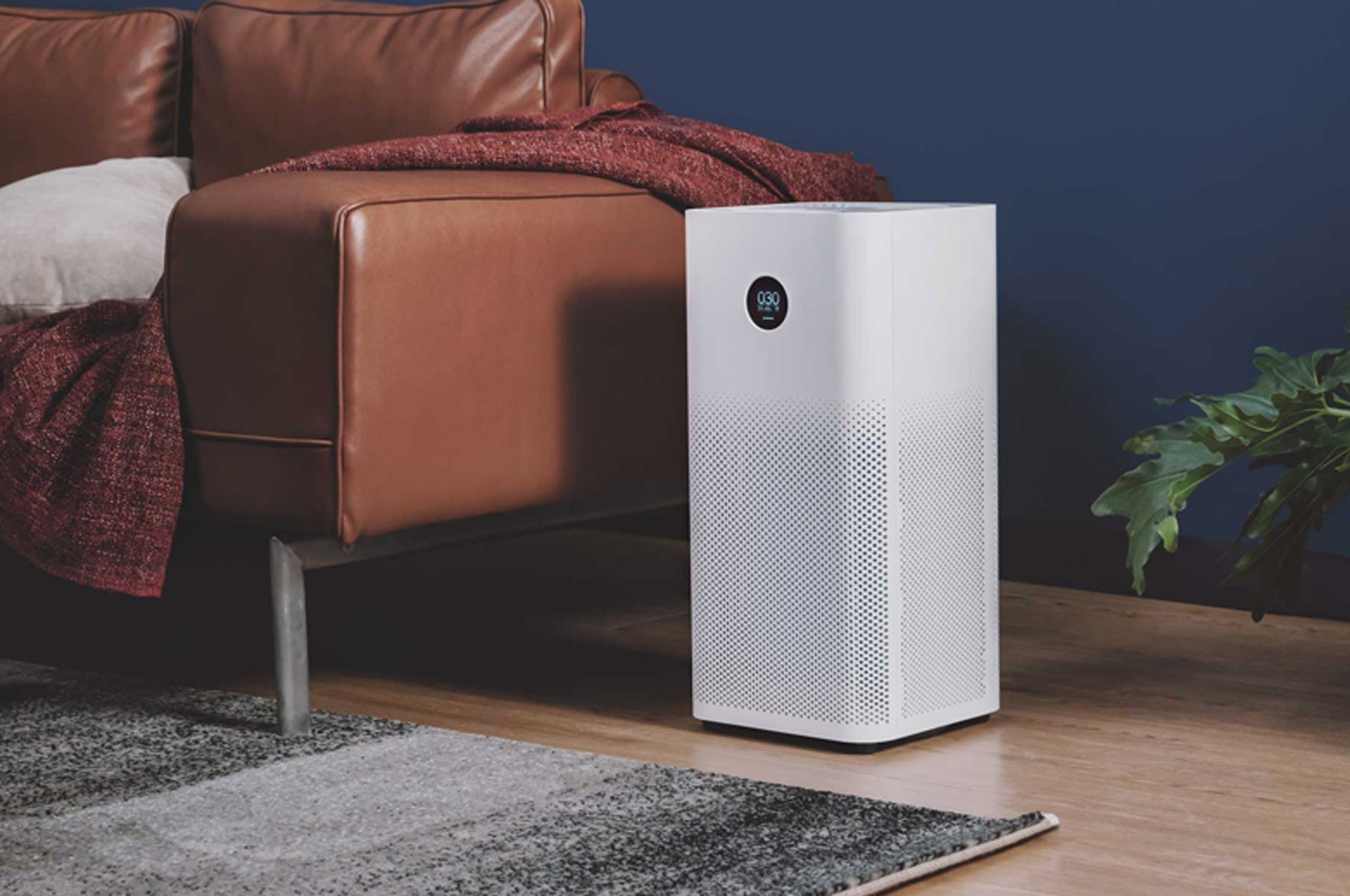 cai thien khong khi anh 3