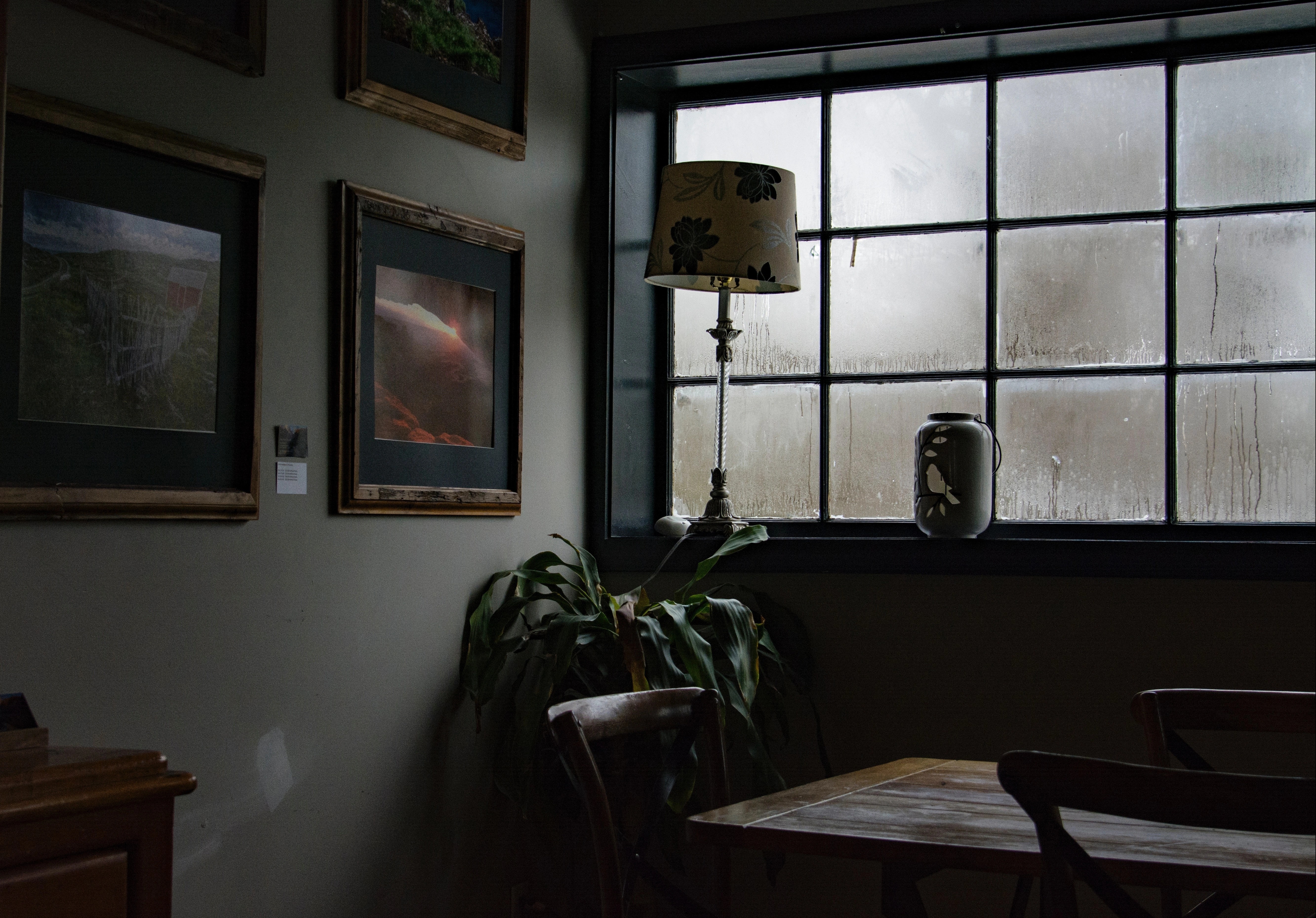 Ngoi nha bui ban anh 9