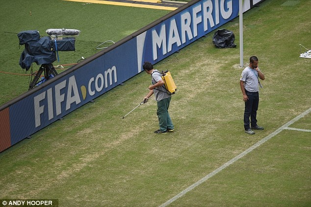 Cong nhan phun son mau cho tham co dien ra tran Anh - Italy hinh anh