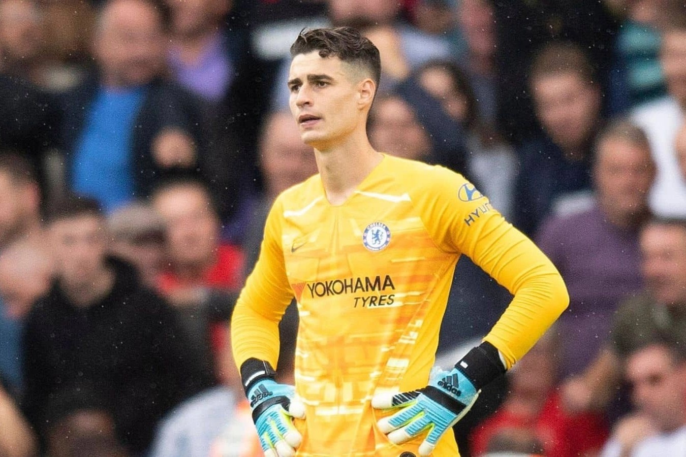 Thu mon dat gia nhat the gioi sap bi dem cho muon hinh anh