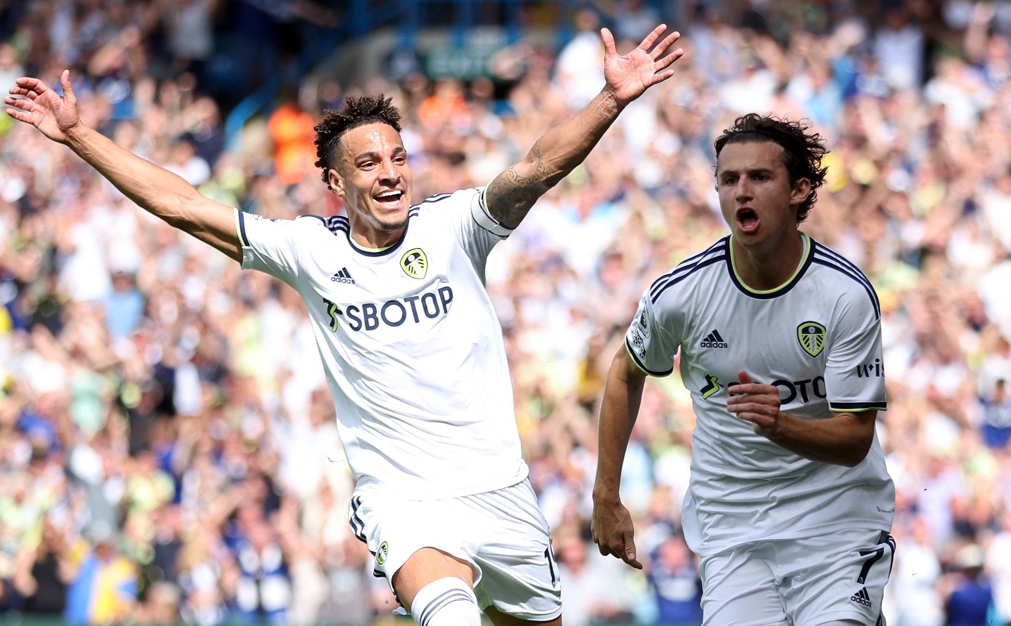 Ngua o cua Premier League anh 3