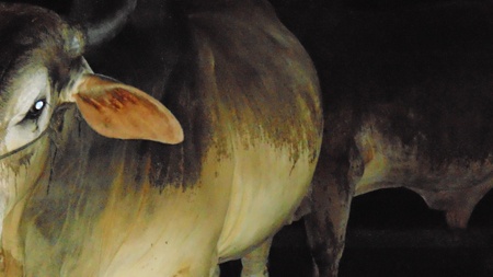 Bom 35 lit nuoc vao bo thu loi 4 trieu dong/con hinh anh