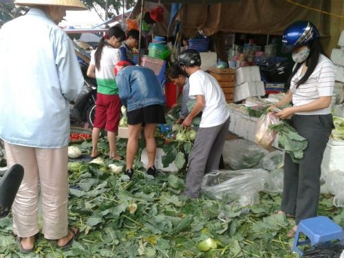 Ha Noi 'chay cho' rau cu truoc bao hinh anh