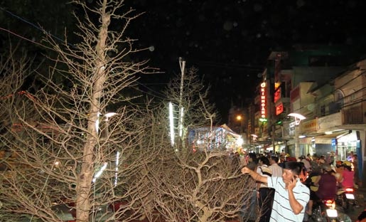 mai 'khủng'; Cần Thơ; nửa tỷ mai 'khủng'; Cần Thơ; nửa tỷ