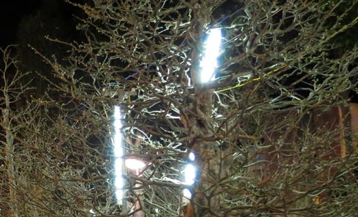 mai 'khủng'; Cần Thơ; nửa tỷ mai 'khủng'; Cần Thơ; nửa tỷ