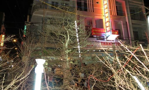 mai 'khủng'; Cần Thơ; nửa tỷ mai 'khủng'; Cần Thơ; nửa tỷ