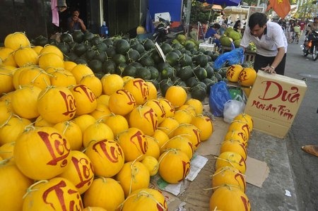 Dua Mai An Tiem co chu tai loc o mien Tay hinh anh