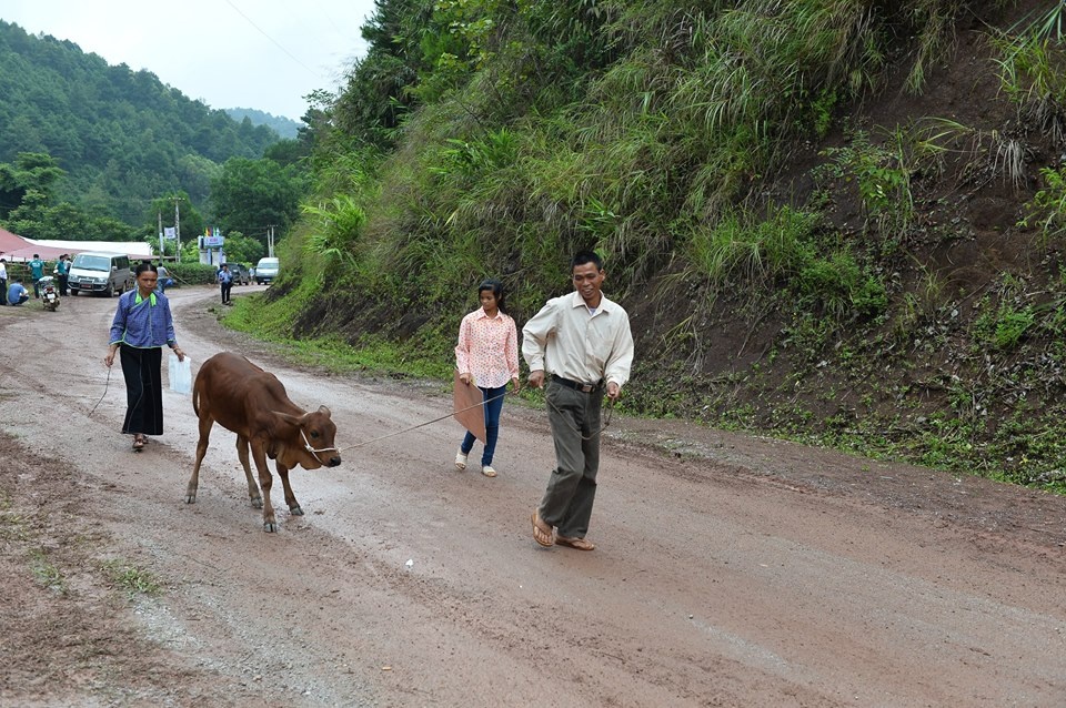 Doi bo giong lay sim Viettel hinh anh