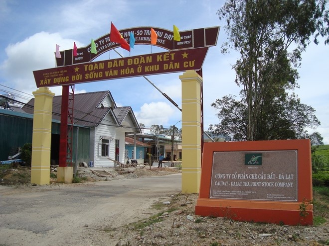 Nong dan Da Lat be tac voi che o long nguyen lieu hinh anh