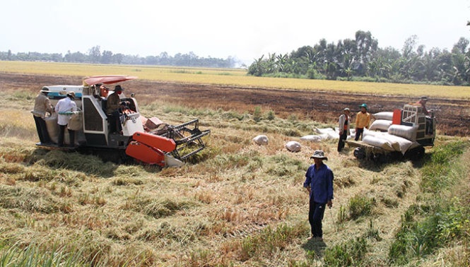 Suc nong TPP ap sat nong dan hinh anh