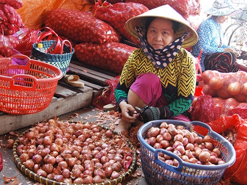 Gia vi tuoi Trung Quoc ap dao hinh anh