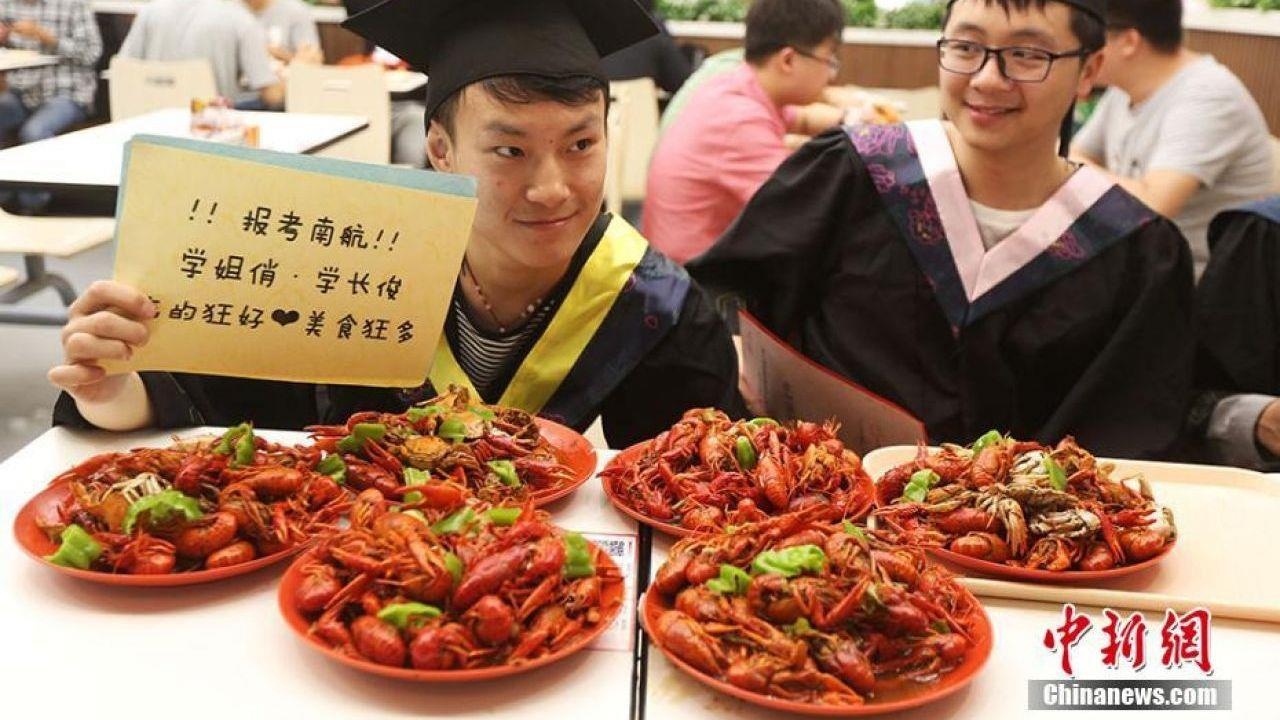 sinh viên học ngành tôm hùm đất ảnh 2 sinh vien hoc nganh tom hum dat anh 2