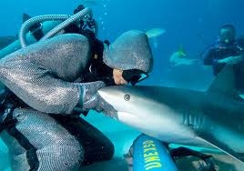 Rach moi vi hon... ca map hinh anh