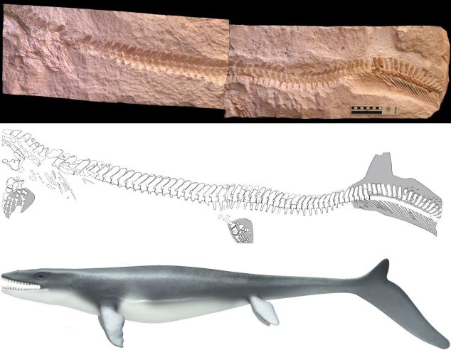 Than lan 20 tan tung ba chu dai duong hinh anh