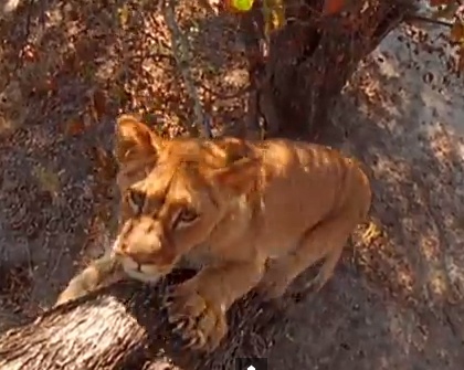 Khi dau cho chong su tu bang nuoc tieu hinh anh