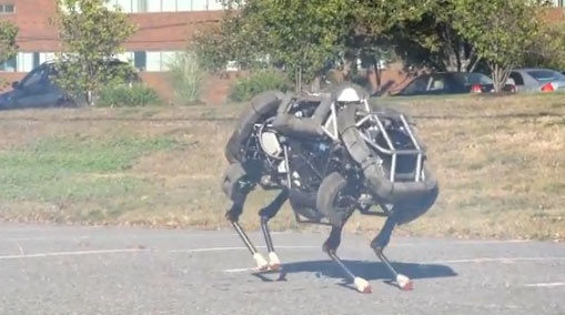 Robot 'meo hoang' phi nuoc dai o My hinh anh