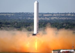 Ten lua 'nhay' nhu chau chau hinh anh