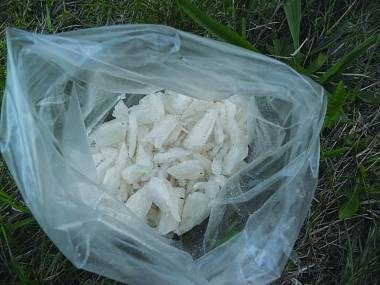 Nguoi Viet va te nan buon ban ma tuy da tai Czech hinh anh