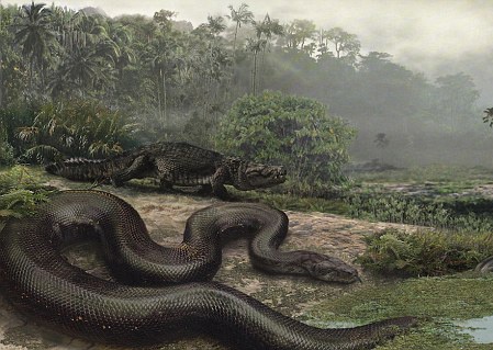 Ran khong lo se thong tri mat dat do nong len toan cau hinh anh