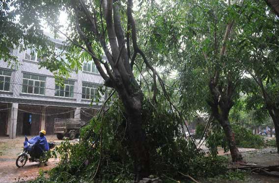 6 nguoi TQ mat tich tren Bien Dong trong sieu bao Haiyan hinh anh