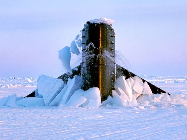 Tau ngam hat nhan My choc thung bien bang hinh anh