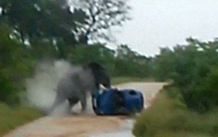 Voi hat o to dang chay vao bui ram hinh anh