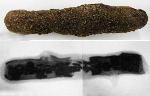 My tiet lo vu khi gia chat thai cho trong chien tranh o VN hinh anh