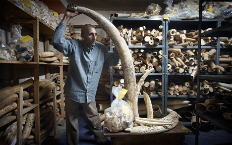 Kho ‘vang trang’ nguoi Trung Quoc buoc phai de lai chau Phi hinh anh