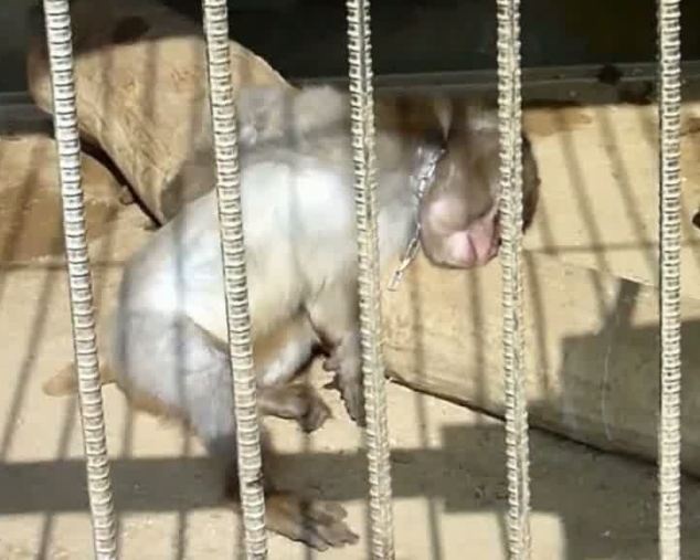 Su that tan khoc trong nhung truong day khi o Han Quoc hinh anh