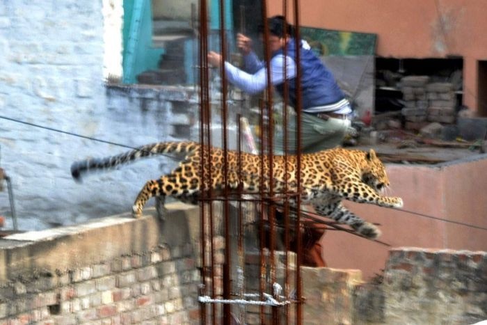 Bao hoang gay nao loan trong thanh pho An Do hinh anh