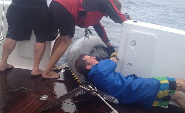 Mot phu nu cau duoc con ca ngu khong lo gan nua tan hinh anh