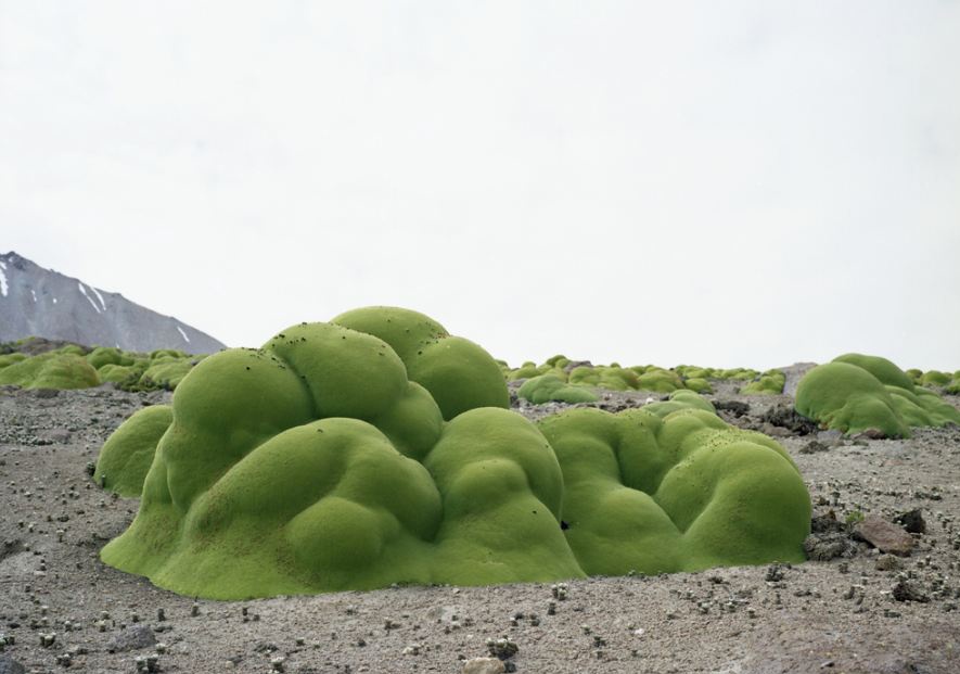 Nhung thuc the song dai nhat hanh tinh hinh anh