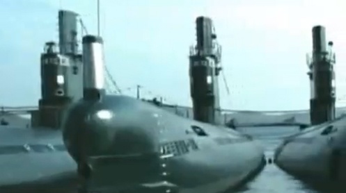 Tau ngam Trieu Tien lan dau xuat hien tren truyen hinh hinh anh