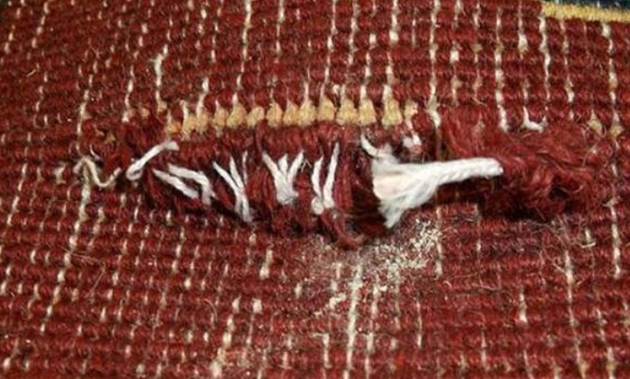 Phat hien 50 kg heroin trong tham tren may bay hinh anh