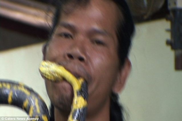 Bat ran ho mang bang mieng hinh anh