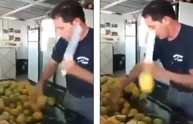 Cong dong mang day song voi ky nang bo cam nhu ninja hinh anh