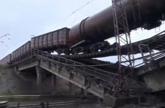 Tau hoa vat veo tren cay cau sap hinh anh