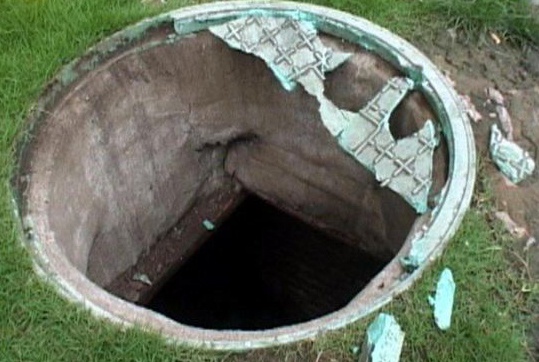 Nhung chiec 'bay ho ga' o Trung Quoc hinh anh