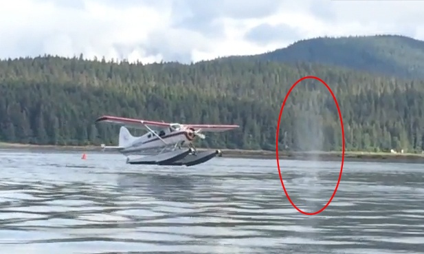 Thuy phi co suyt ha canh len minh ca voi hinh anh