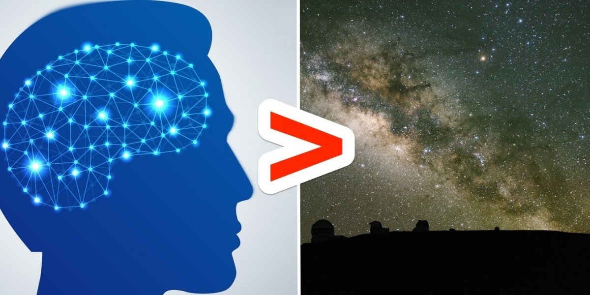 Nhung su that kho tin khien nhieu nguoi kinh ngac hinh anh