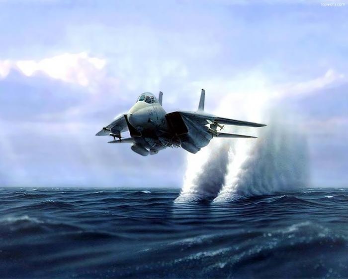 Mo phong F-14 Tomcat gap canh khi dang bay hinh anh