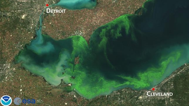 Tao doc tan cong bo bien My hinh anh