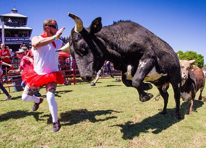 Dan ong My chay dua cung bo hinh anh