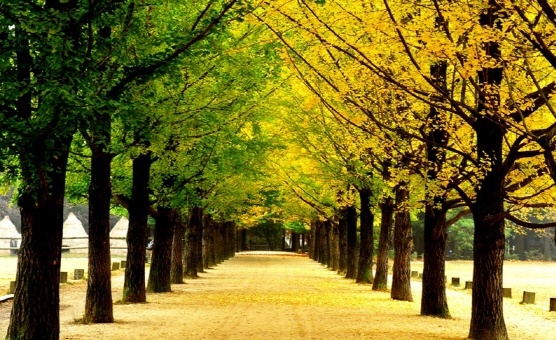 Nhung ‘vuong quoc’ tu lap doc dao nhat hanh tinh hinh anh