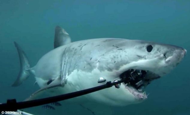 Ca map trang khong lo can nat may quay 12.000 USD hinh anh