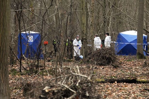 Phat hien thi the 5 tre mat tich trong rung go hinh anh